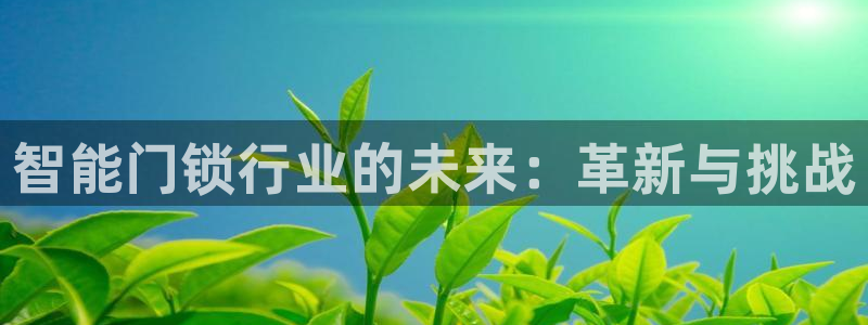 金年会彩票软件：智能门锁行业的未来：革新与挑战