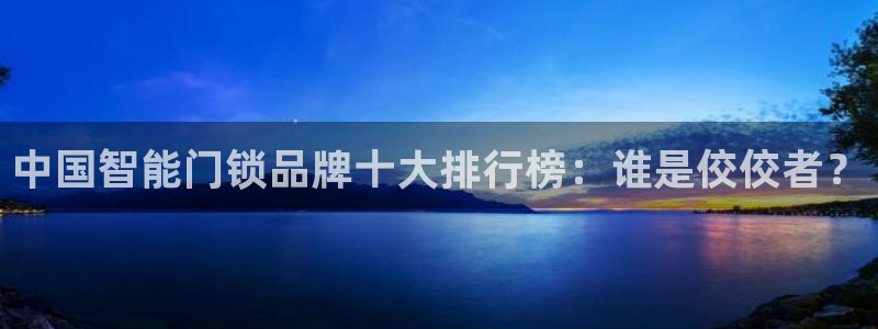 金年会18 28：中国智能门锁品牌十大排行榜：谁是佼佼者？
