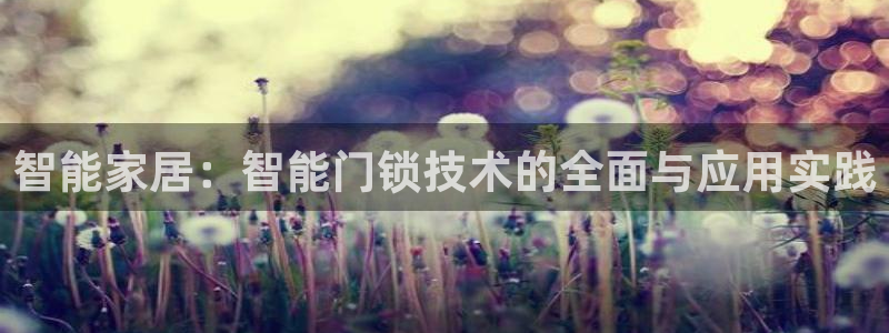 世界杯金年会app下载：智能家居：智能门锁技术的全面与应用实