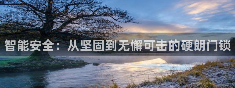 金辉城年会视频：智能安全：从坚固到无懈可击的硬朗门锁