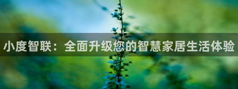 金年会平台是真的吗：小度智联：全面升级您的智慧家居生活体验