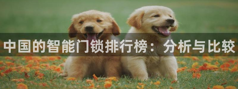 金年会体育app：中国的智能门锁排行榜：分析与比较