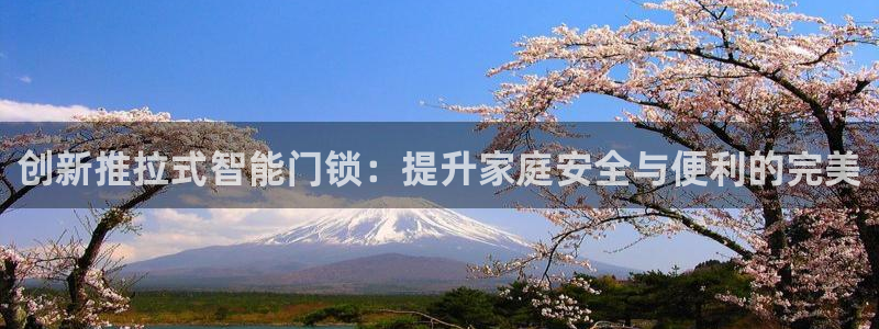 金年会嗨聊app下载：创新推拉式智能门锁：提升家庭安全与便利