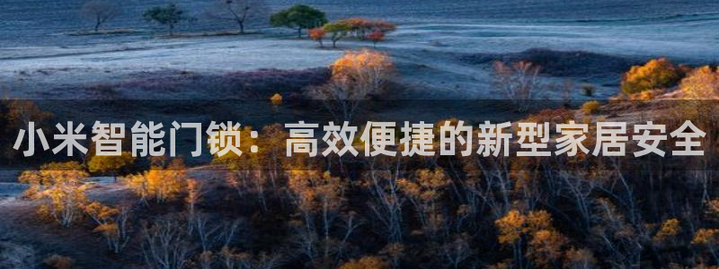 金年会最新下载：小米智能门锁：高效便捷的新型家居安全