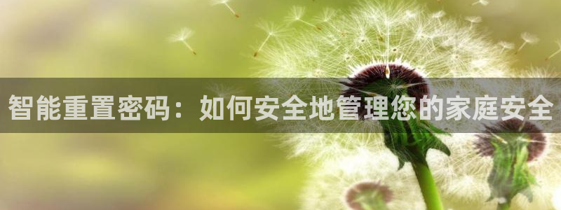金年会体育平台入口：智能重置密码：如何安全地管理您的家庭安全