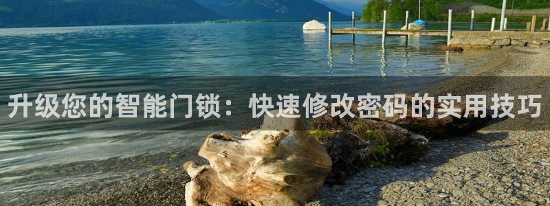 金年会体育娱乐：升级您的智能门锁：快速修改密码的实用技巧