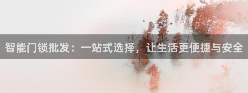 金年会国际：智能门锁批发：一站式选择，让生活更便捷与安全