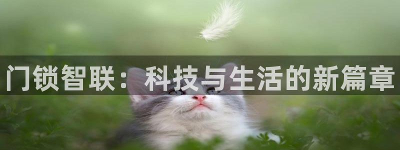 金实年会：门锁智联：科技与生活的新篇章