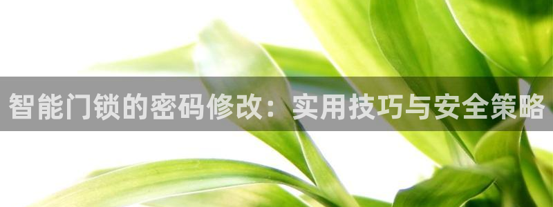 金年会平台包赔：智能门锁的密码修改：实用技巧与安全策略