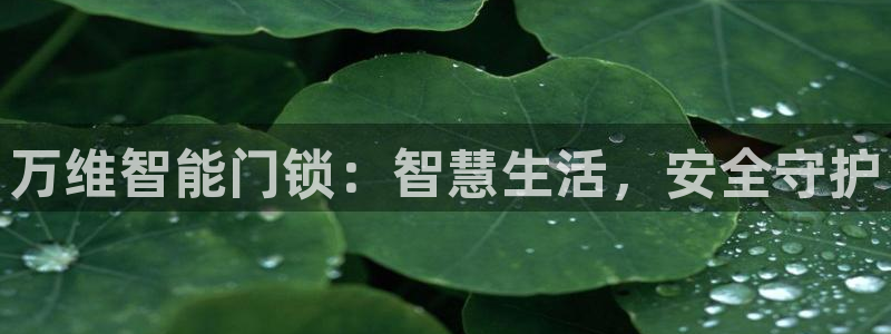 金年会官网地址：万维智能门锁：智慧生活，安全守护