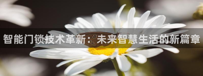 金年会这个平台：智能门锁技术革新：未来智慧生活的新篇章