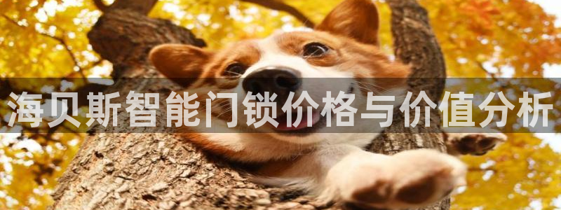 金年会黑网：海贝斯智能门锁价格与价值分析