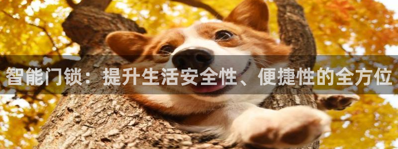 亚博金年会：智能门锁：提升生活安全性、便捷性的全方位