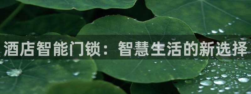 金年会app下载中国金年会：酒店智能门锁：智慧生活的新选择