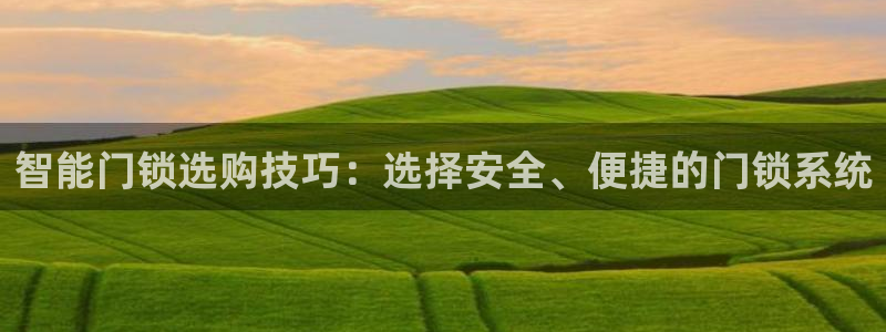 金年会游戏：智能门锁选购技巧：选择安全、便捷的门锁系统