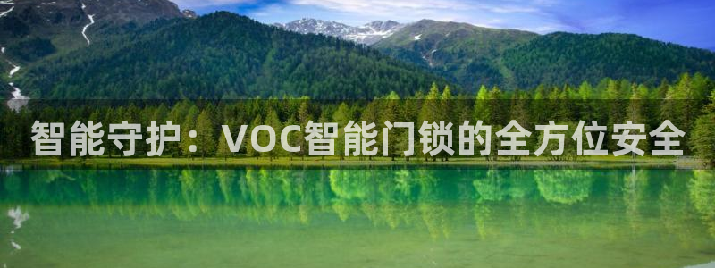 金年会金字招牌信誉：智能守护：VOC智能门锁的全方位安全