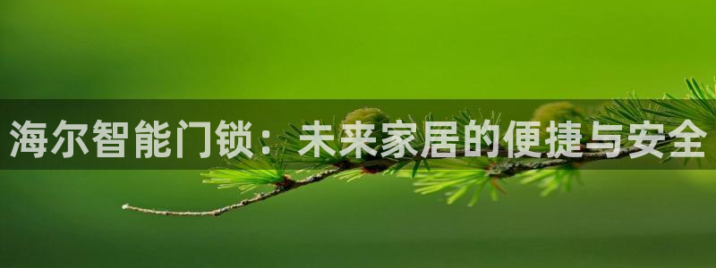 金年会金字招牌诚信至上：海尔智能门锁：未来家居的便捷与安全