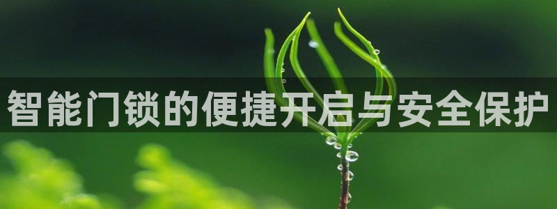 金年会综合APP：智能门锁的便捷开启与安全保护