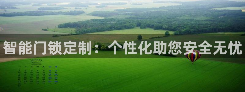 金年会下载：智能门锁定制：个性化助您安全无忧