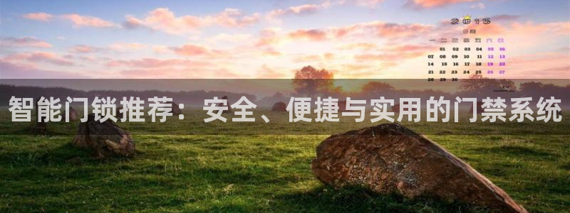 金年会在线下载：智能门锁推荐：安全、便捷与实用的门禁系统