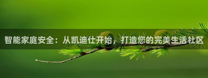 金年会ios下载：智能家庭安全：从凯迪仕开始，打造您的完美生