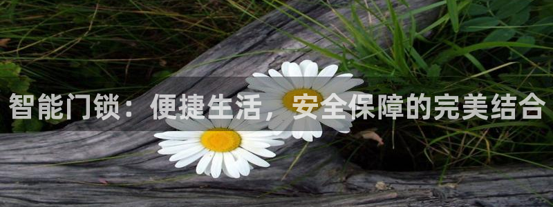 金年会体育官方下载：智能门锁：便捷生活，安全保障的完美结合