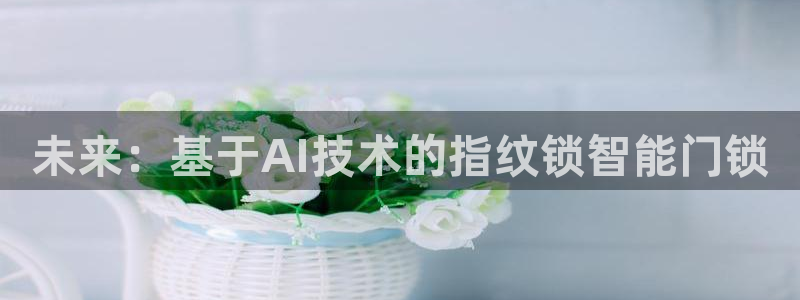 金年会嗨聊app下载：未来：基于AI技术的指纹锁智能门锁