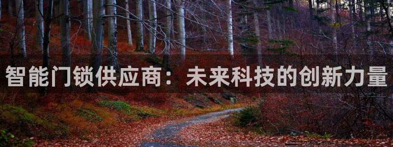 金年会官网app下载：智能门锁供应商：未来科技的创新力量