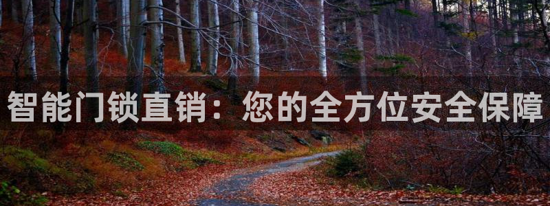金年会综合APP：智能门锁直销：您的全方位安全保障