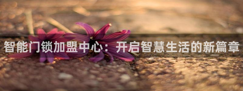 金年会不给提现：智能门锁加盟中心：开启智慧生活的新篇章