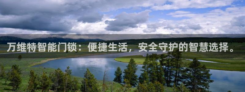 金年会官方：万维特智能门锁：便捷生活，安全守护的智慧选择。