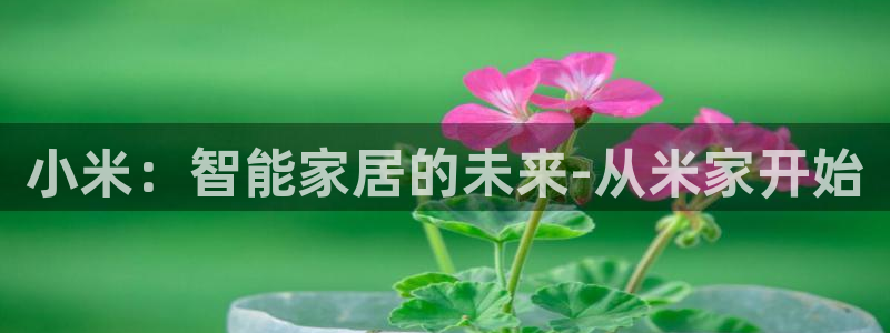 金辉城年会视频：小米：智能家居的未来-从米家开始