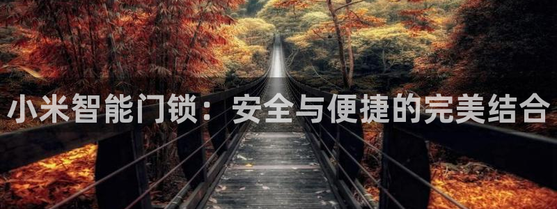 金年会平台登陆：小米智能门锁：安全与便捷的完美结合