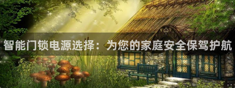 金年会体育平台入口：智能门锁电源选择：为您的家庭安全保驾护航