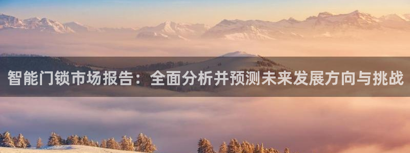 金年会原名：智能门锁市场报告：全面分析并预测未来发展方向与挑