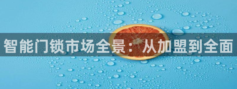 金年会网页登录：智能门锁市场全景：从加盟到全面
