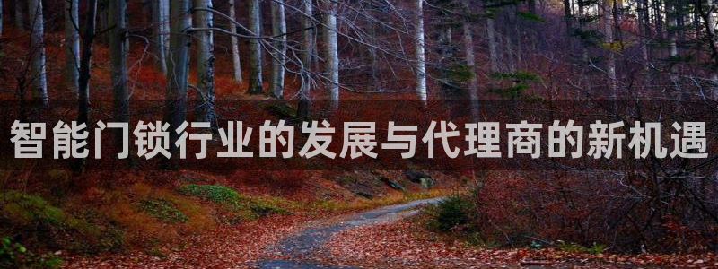 金年会手机版：智能门锁行业的发展与代理商的新机遇