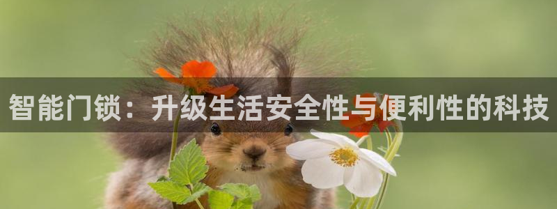 金年会游戏官网：智能门锁：升级生活安全性与便利性的科技