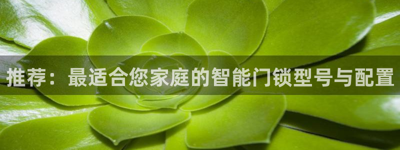 金年会平台登陆：推荐：最适合您家庭的智能门锁型号与配置