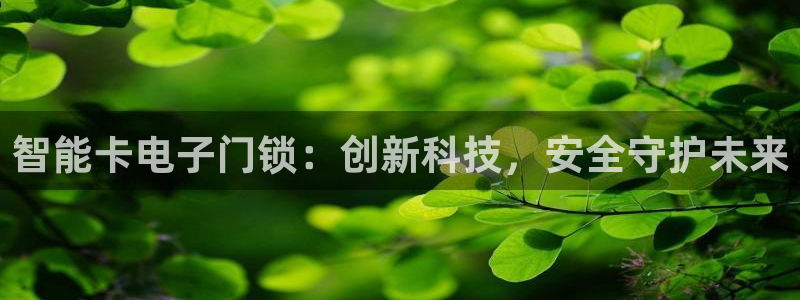 金年会体育app下载：智能卡电子门锁：创新科技，安全守护未来