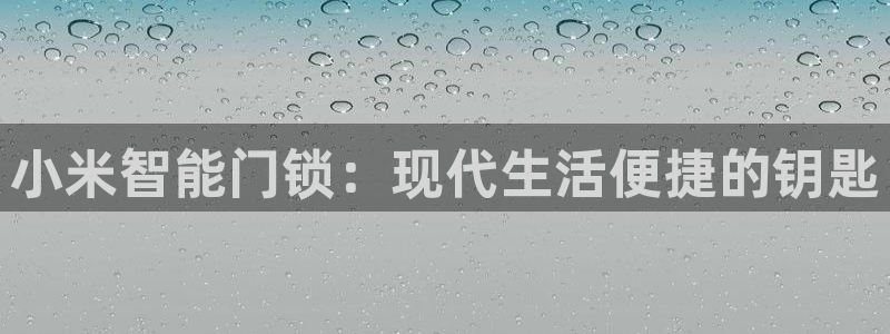 金年会网页登录：小米智能门锁：现代生活便捷的钥匙