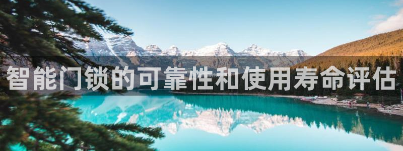 金年会平台游戏：智能门锁的可靠性和使用寿命评估