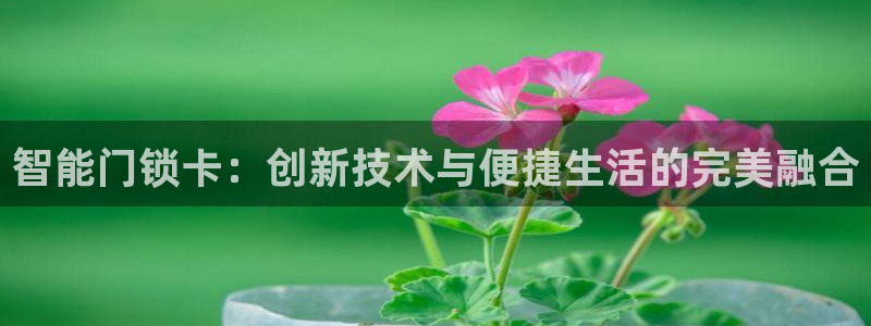 金年会是赌博的吗：智能门锁卡：创新技术与便捷生活的完美融合