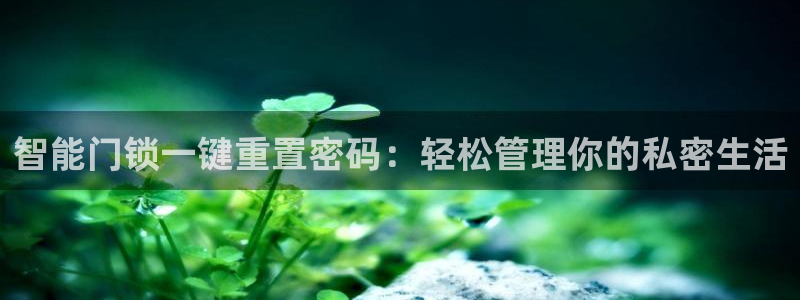 世界杯金年会app下载：智能门锁一键重置密码：轻松管理你的私