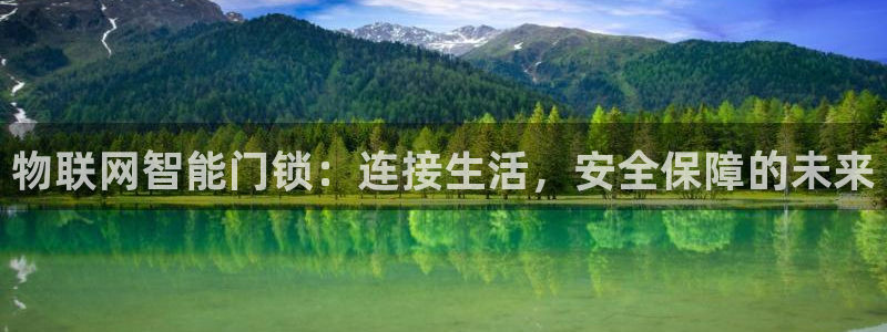 金年会品牌：物联网智能门锁：连接生活，安全保障的未来