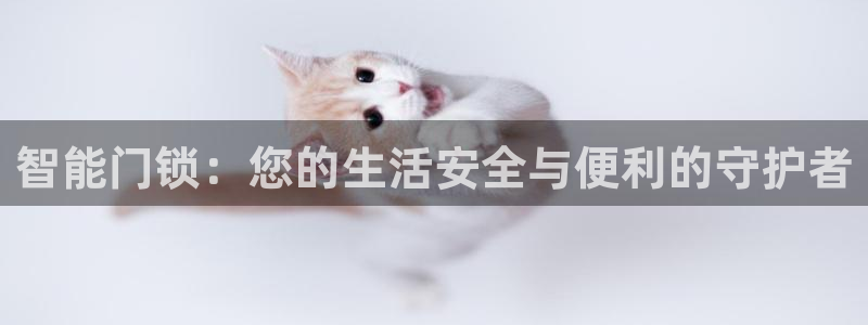 金年会赌博：智能门锁：您的生活安全与便利的守护者