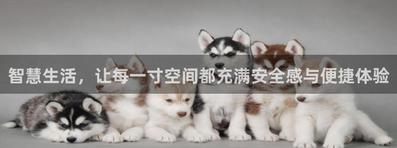 金年会在线登录：智慧生活，让每一寸空间都充满安全感与便捷体验