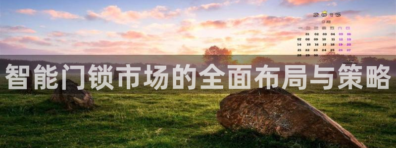 金年会网址：智能门锁市场的全面布局与策略