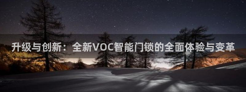 金年会登录：升级与创新：全新VOC智能门锁的全面体验与变革