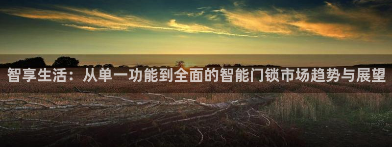 金年会 1080P：智享生活：从单一功能到全面的智能门锁市场
